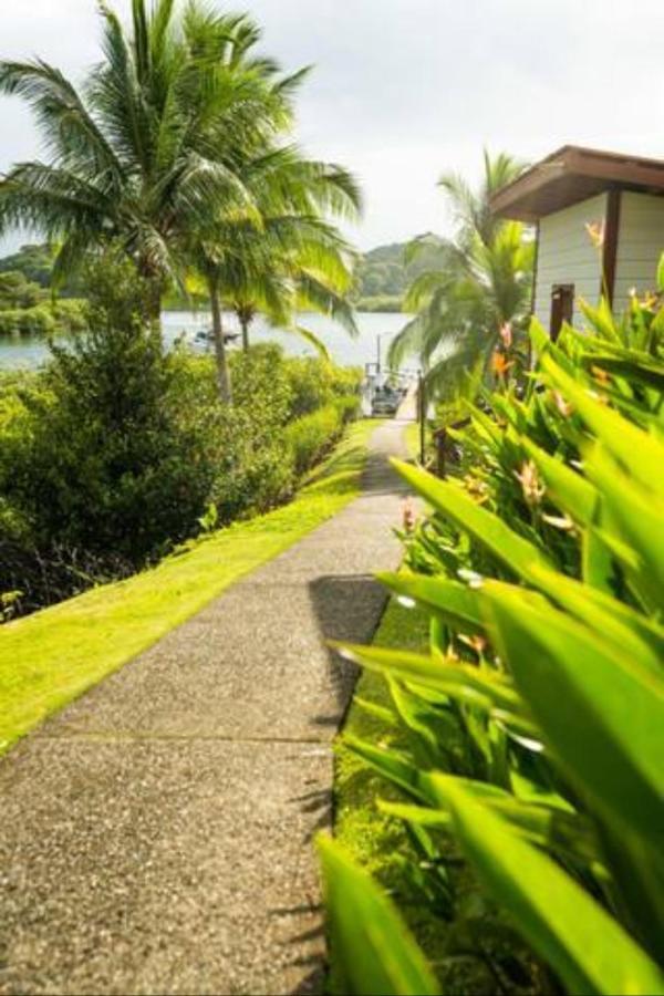 Casa Marlin Bed & Breakfast Bocas Town Bagian luar foto