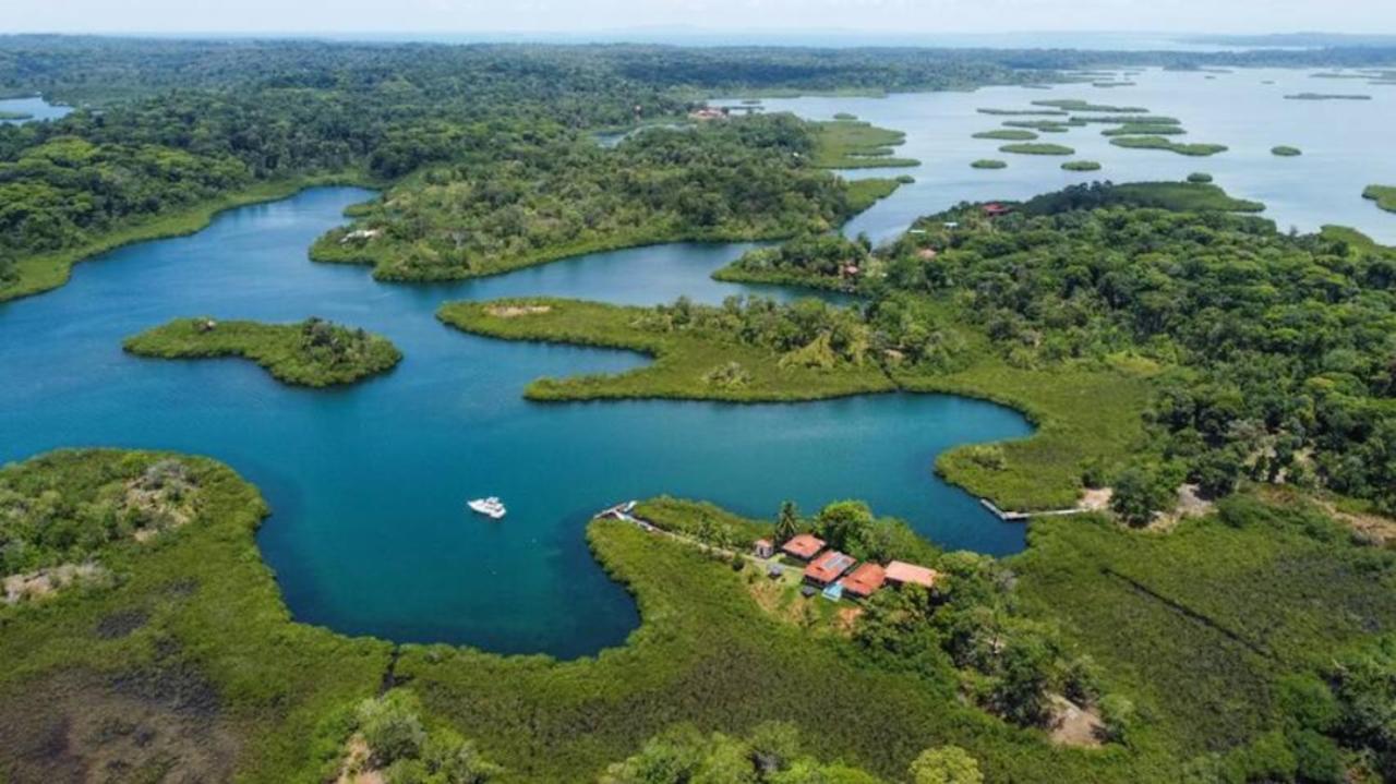 Casa Marlin Bed & Breakfast Bocas Town Bagian luar foto