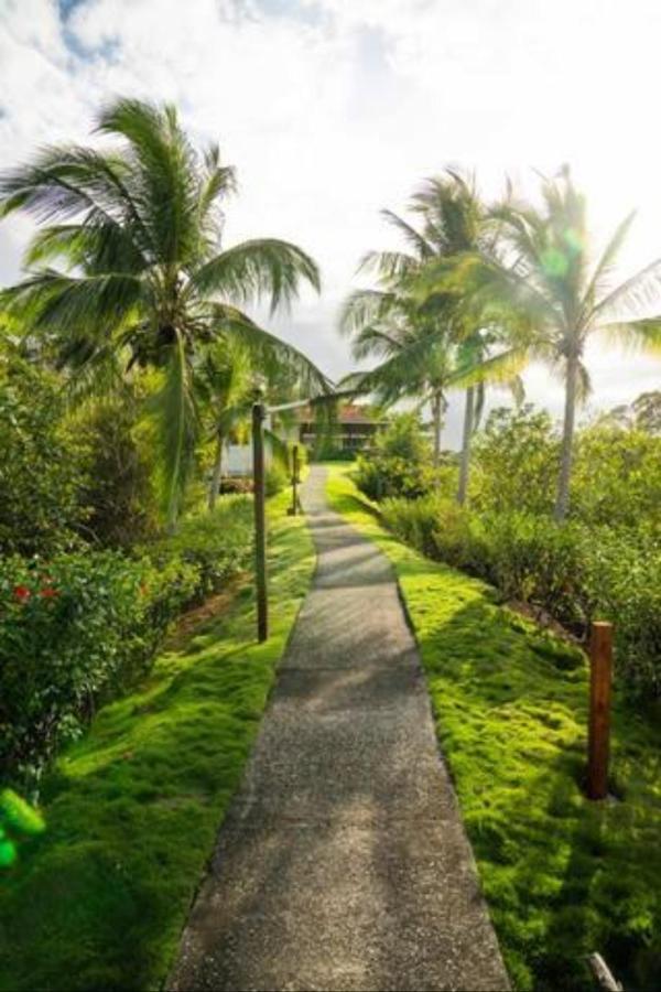 Casa Marlin Bed & Breakfast Bocas Town Bagian luar foto